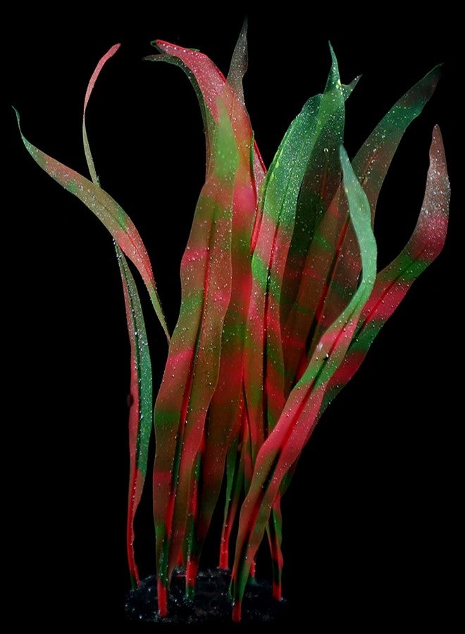 Youngy Aquarium Artificial Kelp Soft Silicone Plant Move With Water Flows 7 Inch High Realistic Seaweed Fish Tanks Decorations Silicone Seaweed Aquarium Plant Kelp Aquarium Plant Decor Realistic Fish Tanks - Image 3